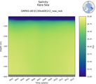 Time series of Kara Sea Salinity vs depth
